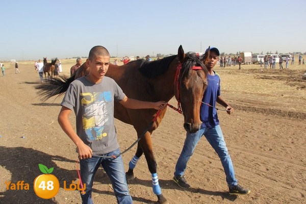 horse race 0602 (15).JPG